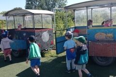 IMG_20230531_100658