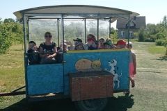 IMG_20230531_100829