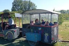 IMG_20230531_100835
