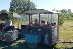 IMG_20230531_100837