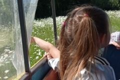IMG_20230531_101429