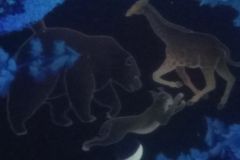 IMG_20230425_104943