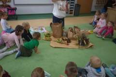 9ff94cf3-919d-44c8-aff3-99f9cc6196ef