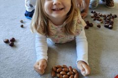 96509c73-2d96-4271-adfc-d5fdc163fee0