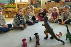 IMG_20230220_090222