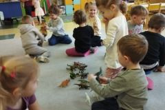 IMG_20230220_090410