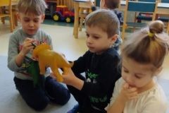IMG_20230220_090446