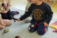 IMG_20230220_091052