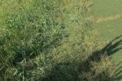IMG_20230531_093657