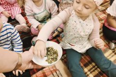 d88bed9f-a2e5-41e0-b87b-d69f45da8d6b