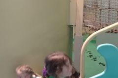IMG_20230425_120223