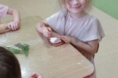 IMG_20240212_094410