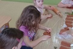 IMG_20240212_094512