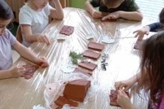 IMG_20240212_094546