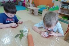 IMG_20240212_100303