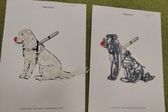 IMG_20251202_143319