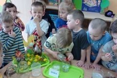 IMG_20230405_131951