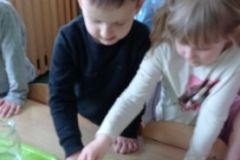 IMG_20230406_131229