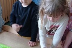 IMG_20230406_131233