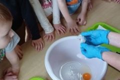 IMG_20230406_131733