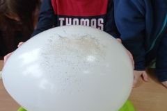 IMG_20230306_132109