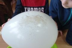 IMG_20230306_132111