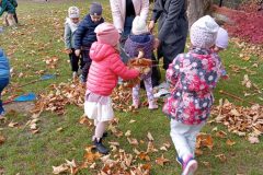 IMG_20251017_123317