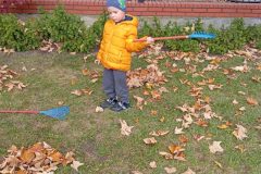 IMG_20251017_123325