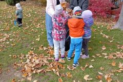 IMG_20251017_123332