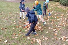IMG_20251017_123338