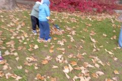IMG_20251017_123342