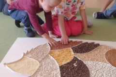 013a7294-2f03-4d21-af2c-3057ec89b0e0