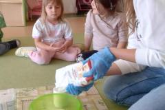 47c2d5db-7fcd-41b7-821a-8d49b4241dc3