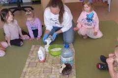 51ff88ed-f810-4789-be3c-0f72f330e2d7