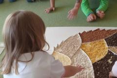 cd2a20cf-c696-4f17-92b8-815b8efa5f3c