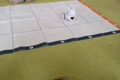 IMG_20250418_100942