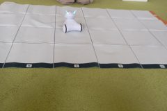 IMG_20250418_100950