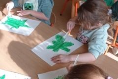 IMG_20230216_125252