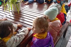 IMG_20250611_095623
