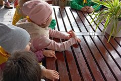 IMG_20250611_095629