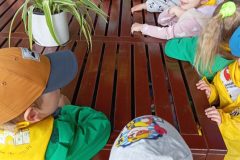 IMG_20250611_095643