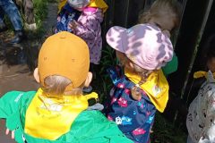IMG_20250611_102734