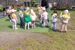 IMG_20250611_111846