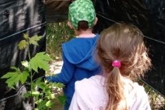 IMG_20230531_124834