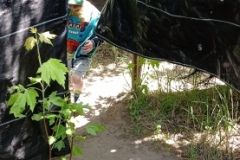 IMG_20230531_124853