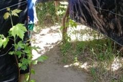 IMG_20230531_124856