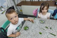 IMG_20230607_095511
