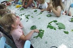 IMG_20230607_095523