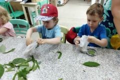 IMG_20230607_095714