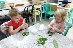 IMG_20230607_095728
